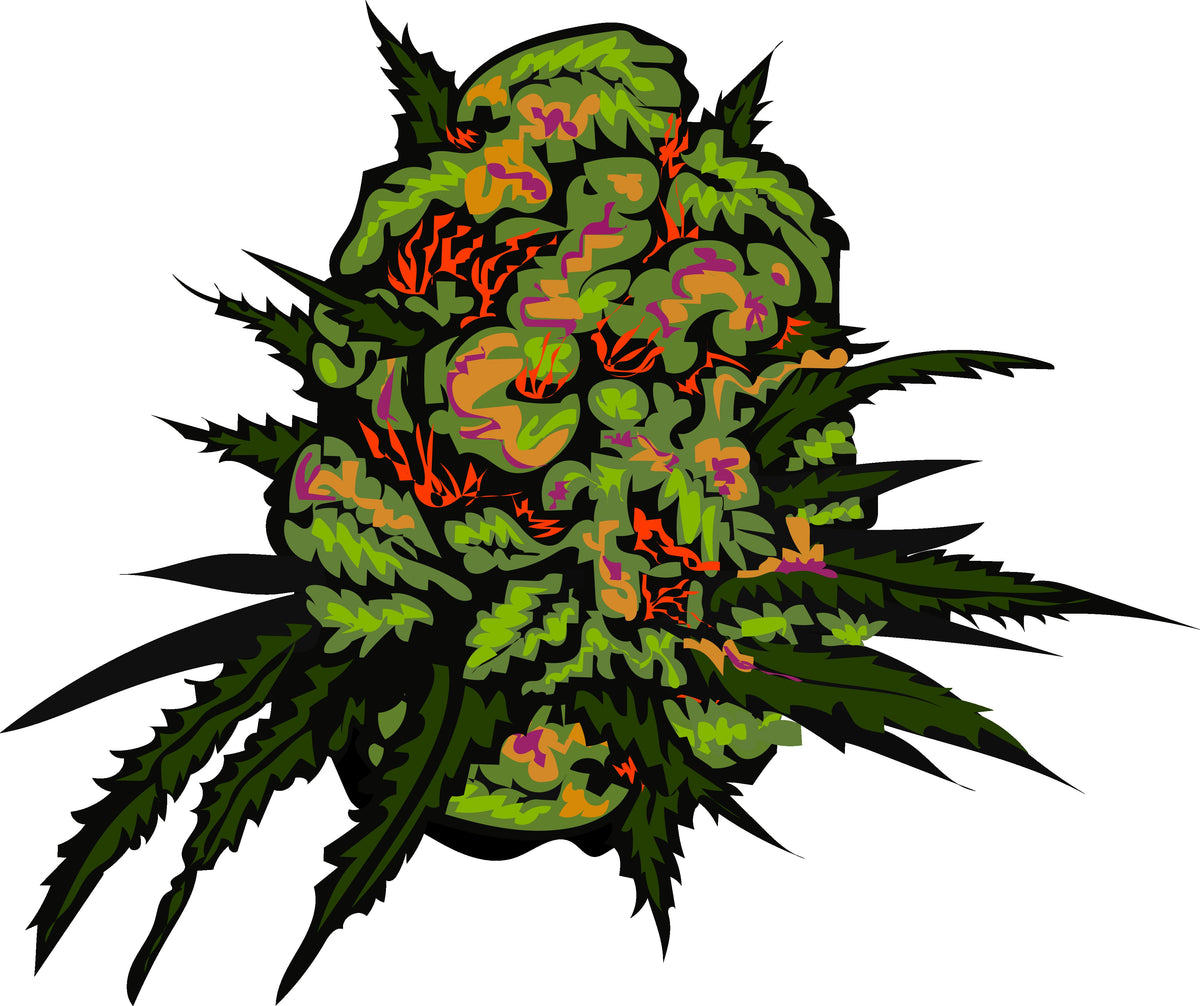 Zen's Private Seed Collection