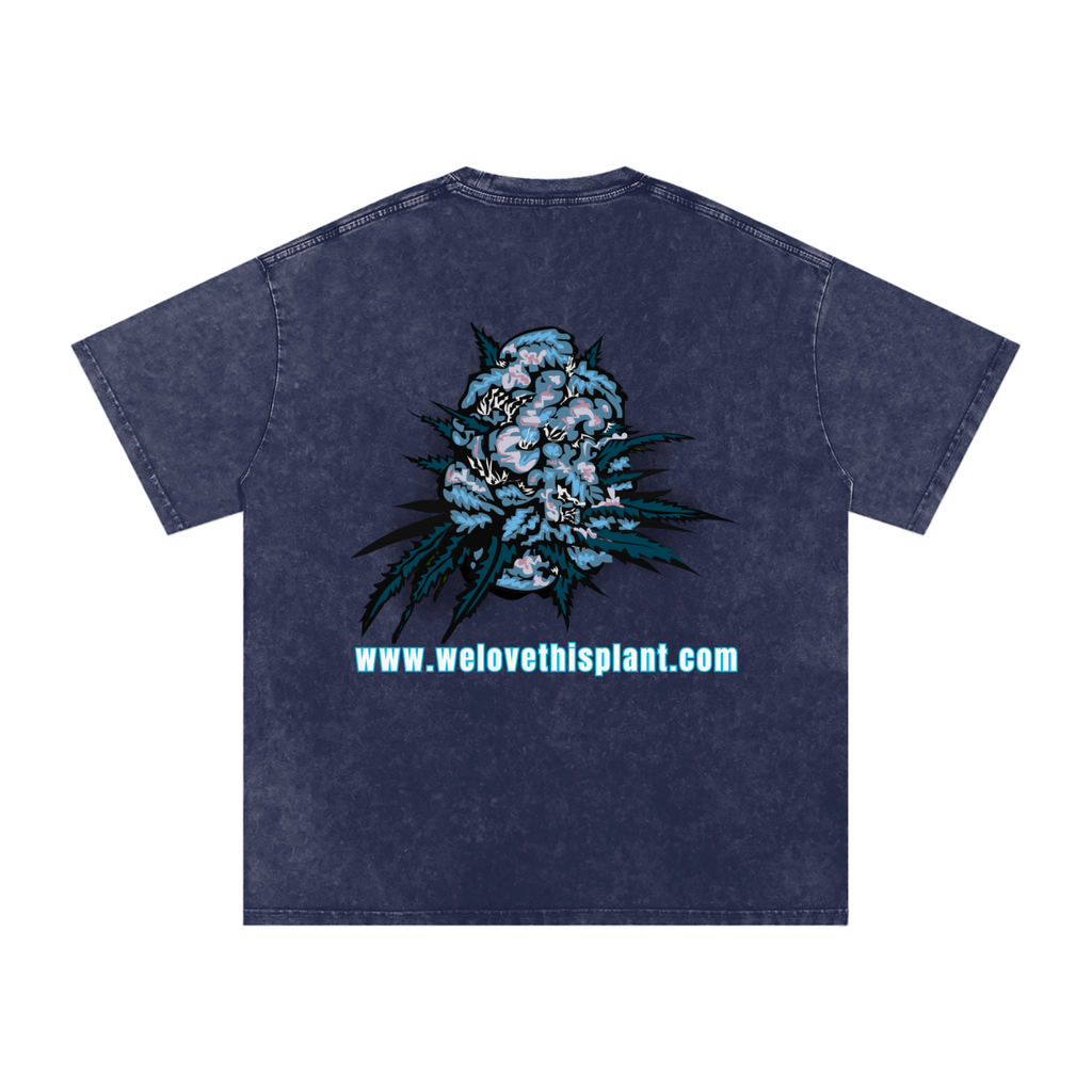 ILTP - PLANTSTARR (SKY BLUE LOGO) Heavyweight Vintage Washed Frayed T-Shirt