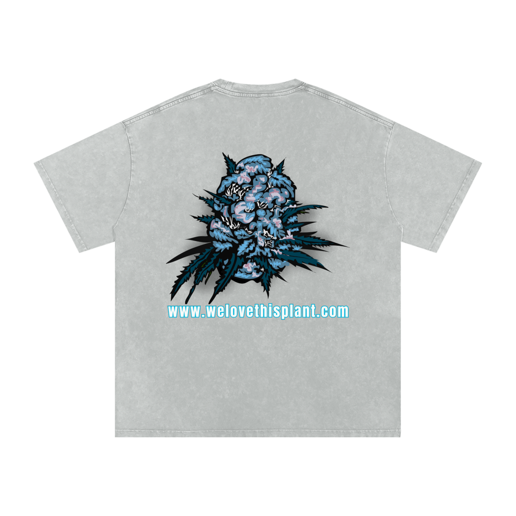ILTP - PLANTSTARR (SKY BLUE LOGO) Heavyweight Vintage Washed Frayed T-Shirt