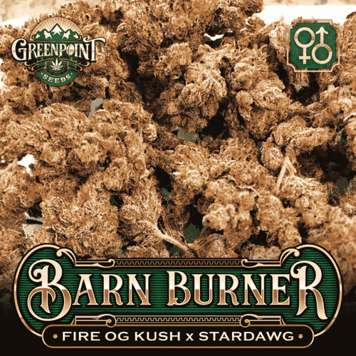 Barn Burner (R)